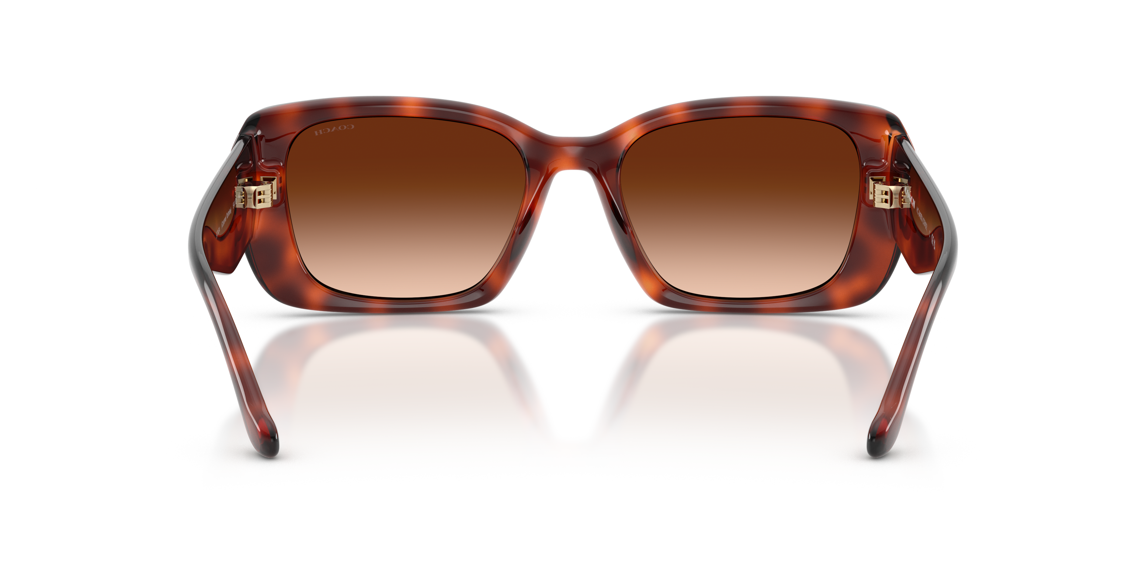 Coach HC8435U CBY82 Square Sunglasses - Milky Merlot