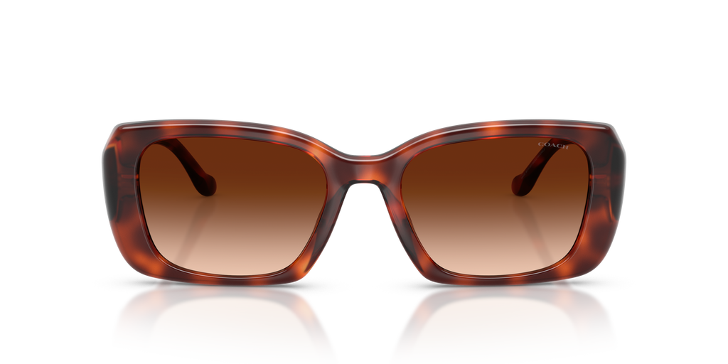 Coach HC8435U CBY82 Square Sunglasses - Caramel Tortoise