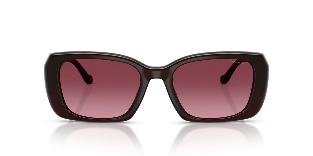 Coach HC8435U CBY82 Square Sunglasses - Caramel Tortoise