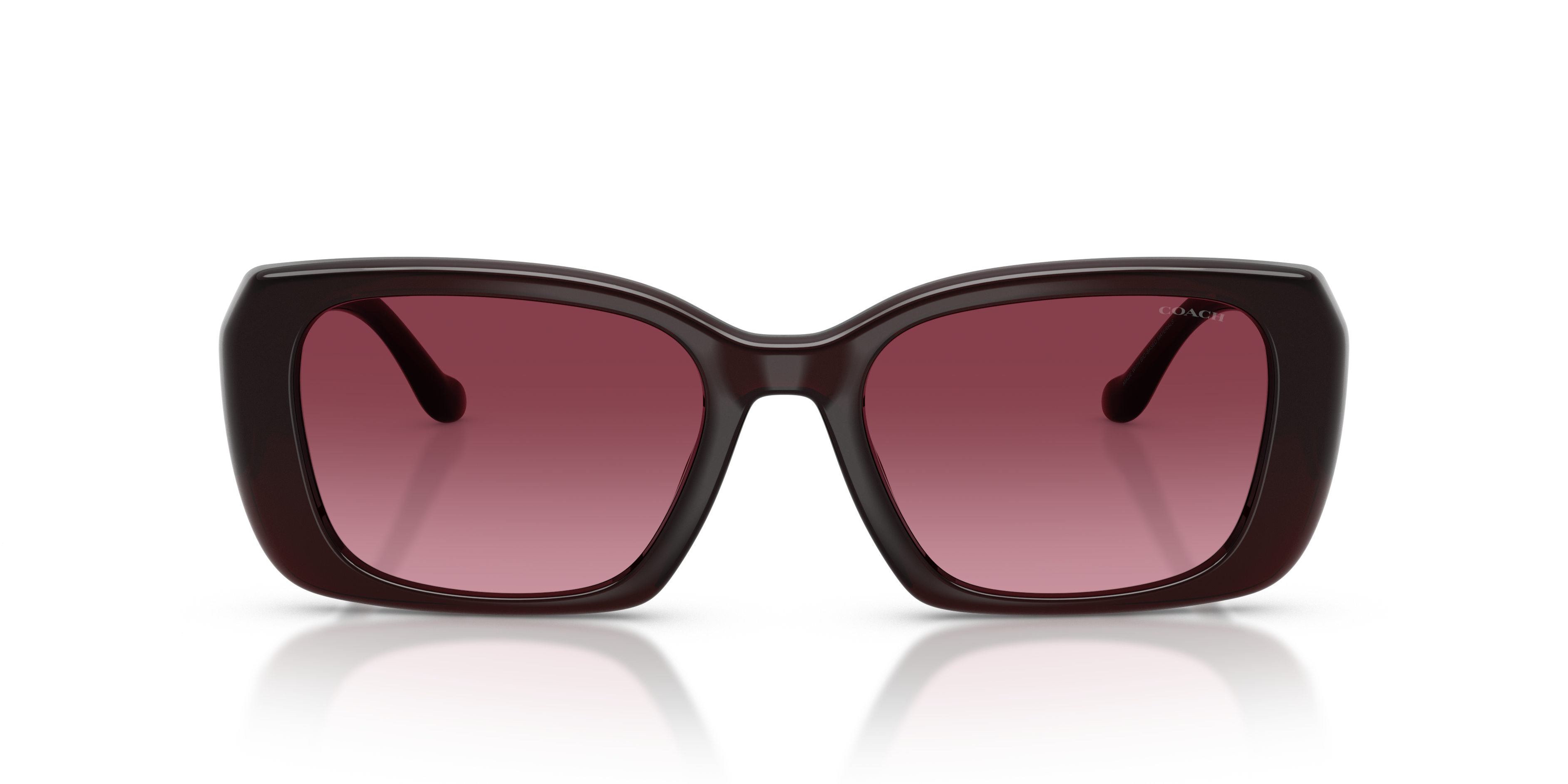 Coach HC8435U CBY82 Square Sunglasses - Caramel Tortoise