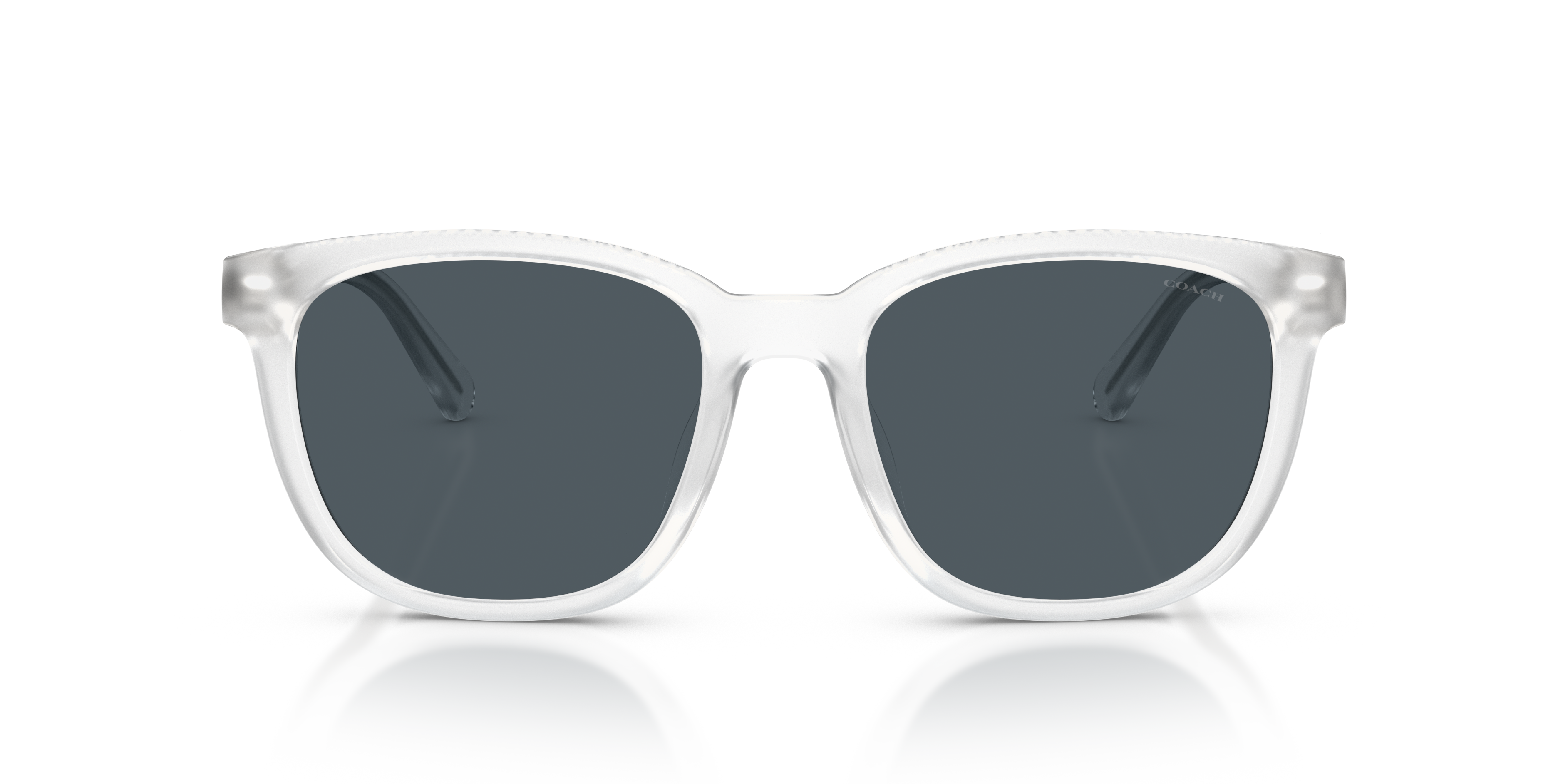 Coach HC8442U CCA00 Square Sunglasses - Matte Transparent Brown