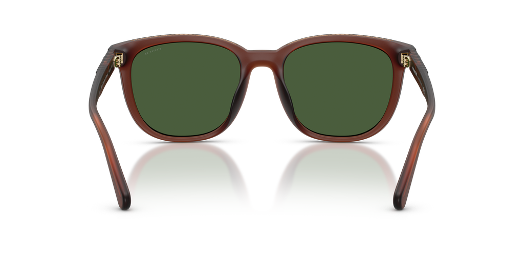 Coach HC8442U CCA00 Square Sunglasses - Matte Transparent Brown