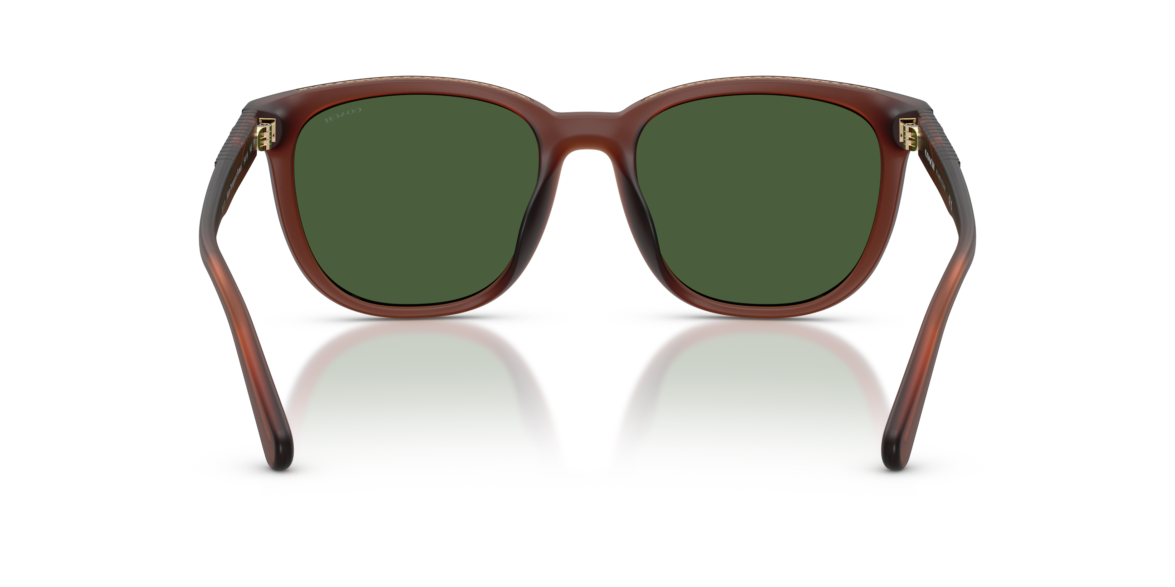Coach HC8442U CCA00 Square Sunglasses - Transparent Clear