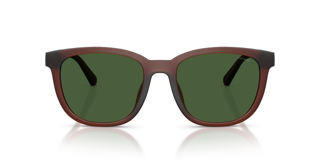 Coach HC8442U CCA00 Square Sunglasses - Matte Black