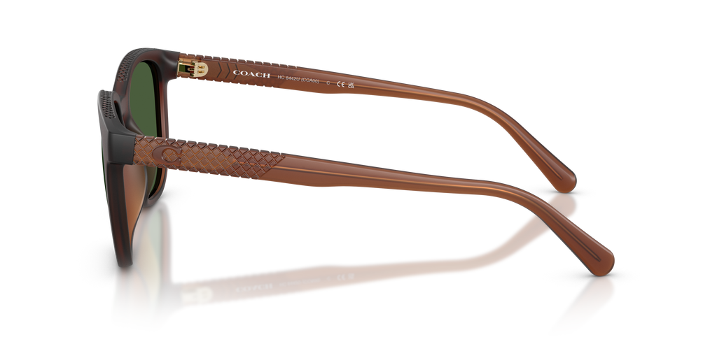 Coach HC8442U CCA00 Square Sunglasses - Matte Transparent Brown