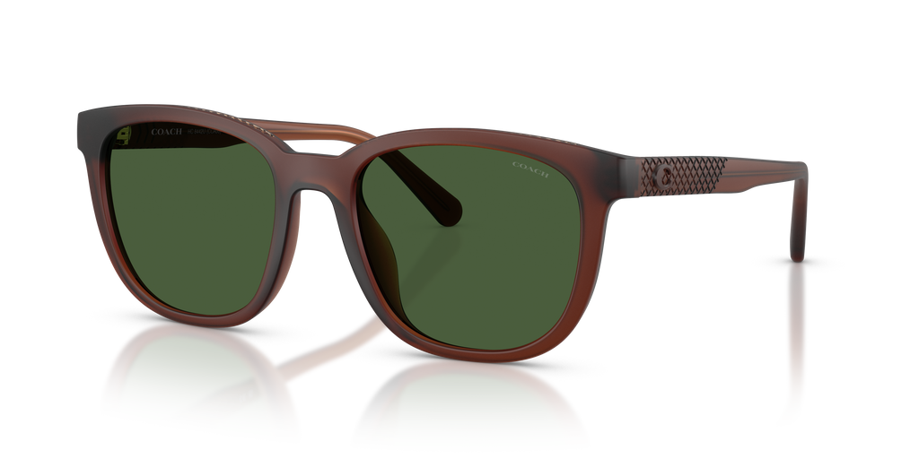 Coach HC8442U CCA00 Square Sunglasses - Matte Transparent Brown