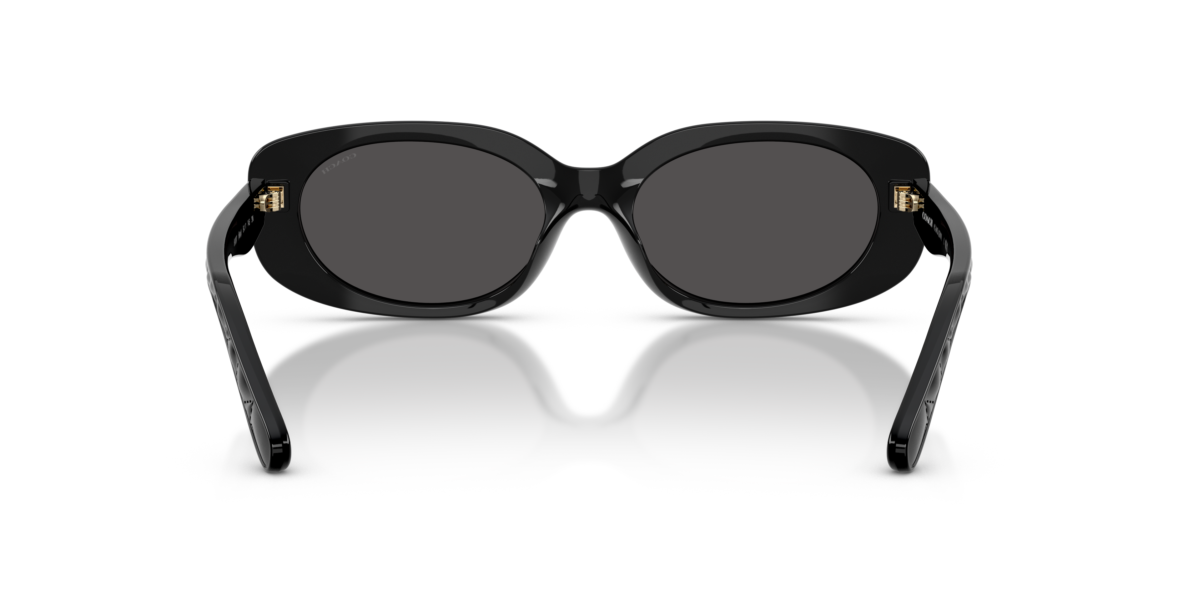 Coach HC8443D CBY84 Oval Sunglasses - Milky Cloud