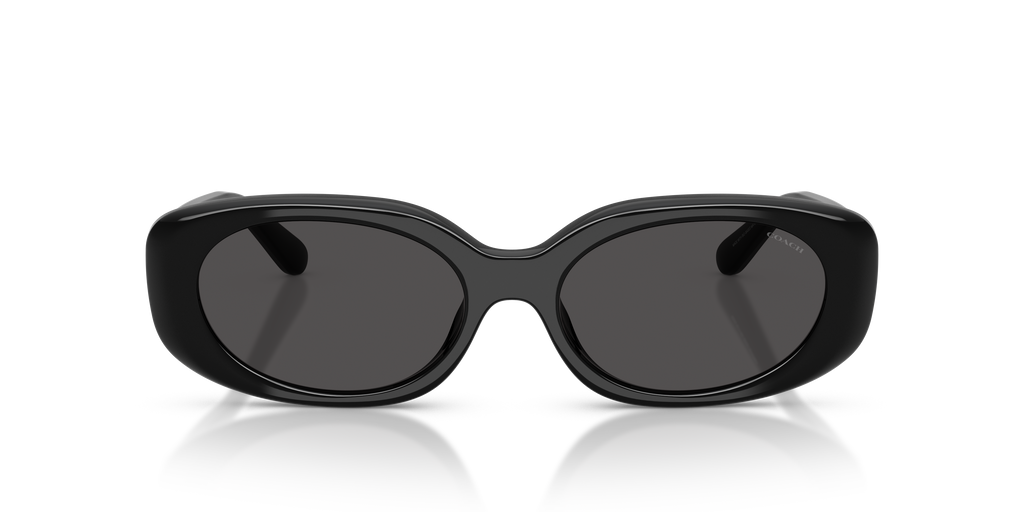 Coach HC8443D CBY84 Oval Sunglasses - Milky Cloud