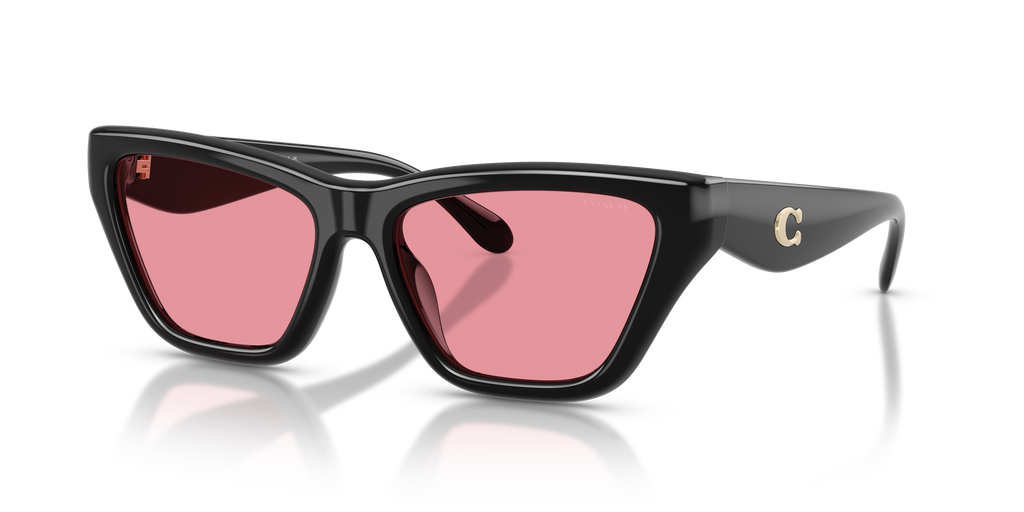 Coach HC8449U CDP33 Cat Eye Sunglasses - Black