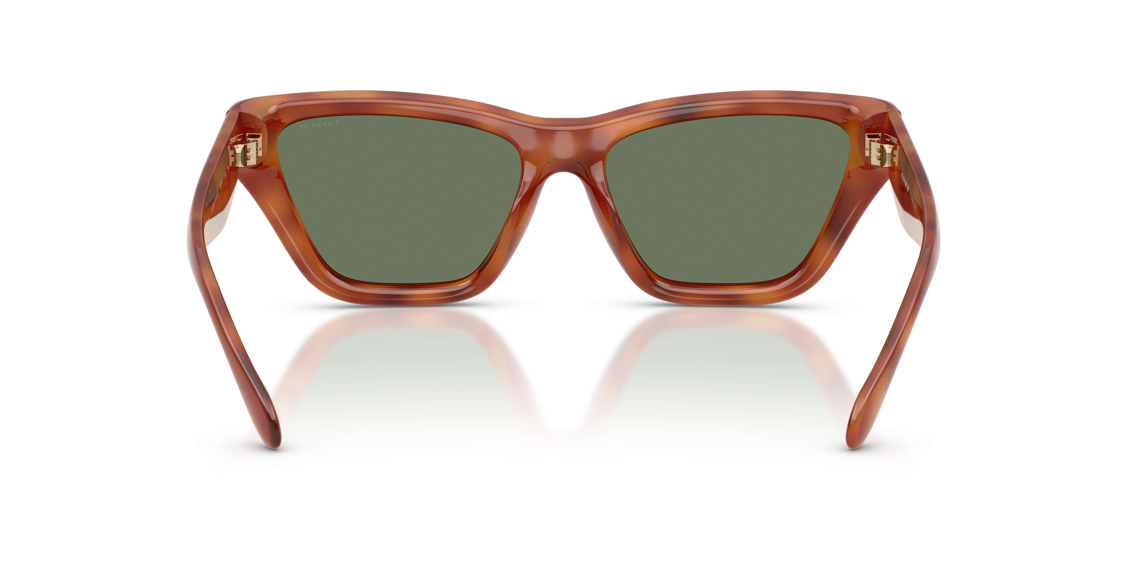 Coach HC8449U CDP33 Cat Eye Sunglasses - Caramel Tortoise
