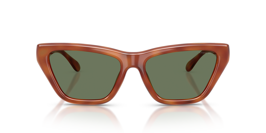 Coach HC8449U CDP33 Cat Eye Sunglasses - Black