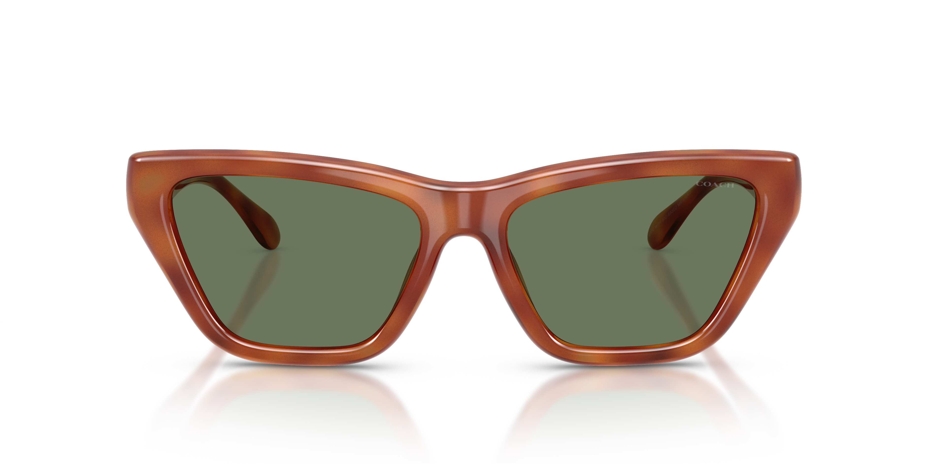 Coach HC8449U CDP33 Cat Eye Sunglasses - Caramel Tortoise