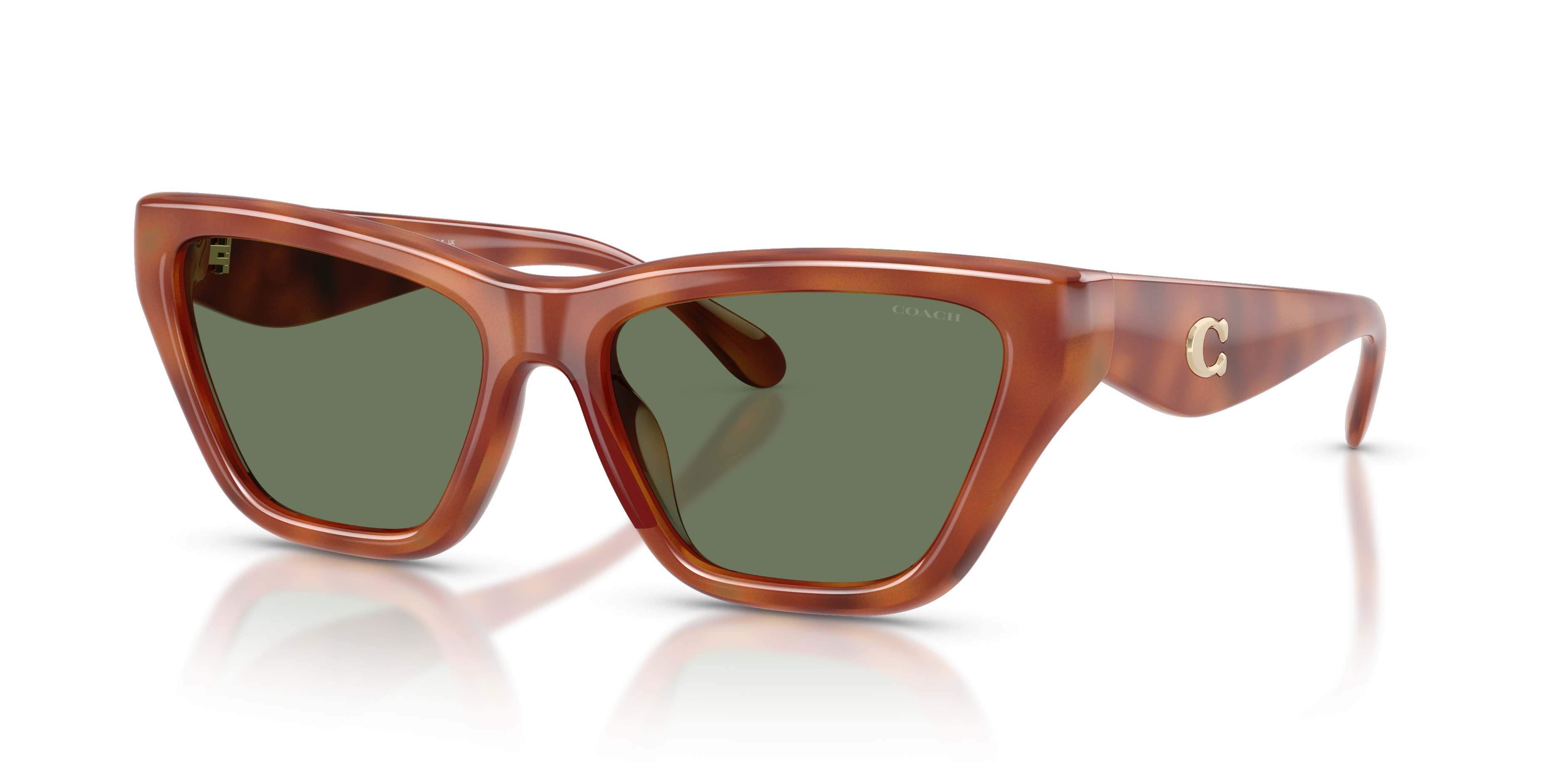 Coach HC8449U CDP33 Cat Eye Sunglasses - Black