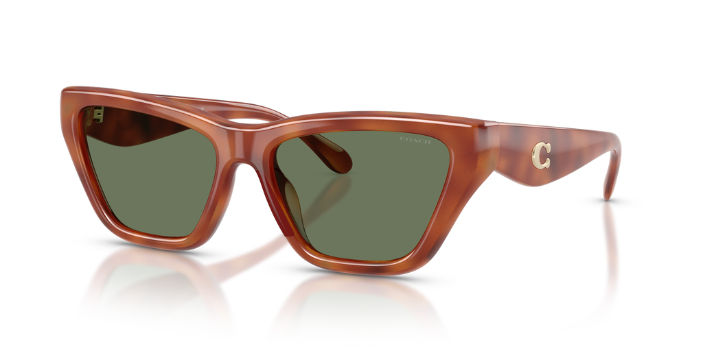 Coach HC8449U CDP33 Cat Eye Sunglasses - Caramel Tortoise