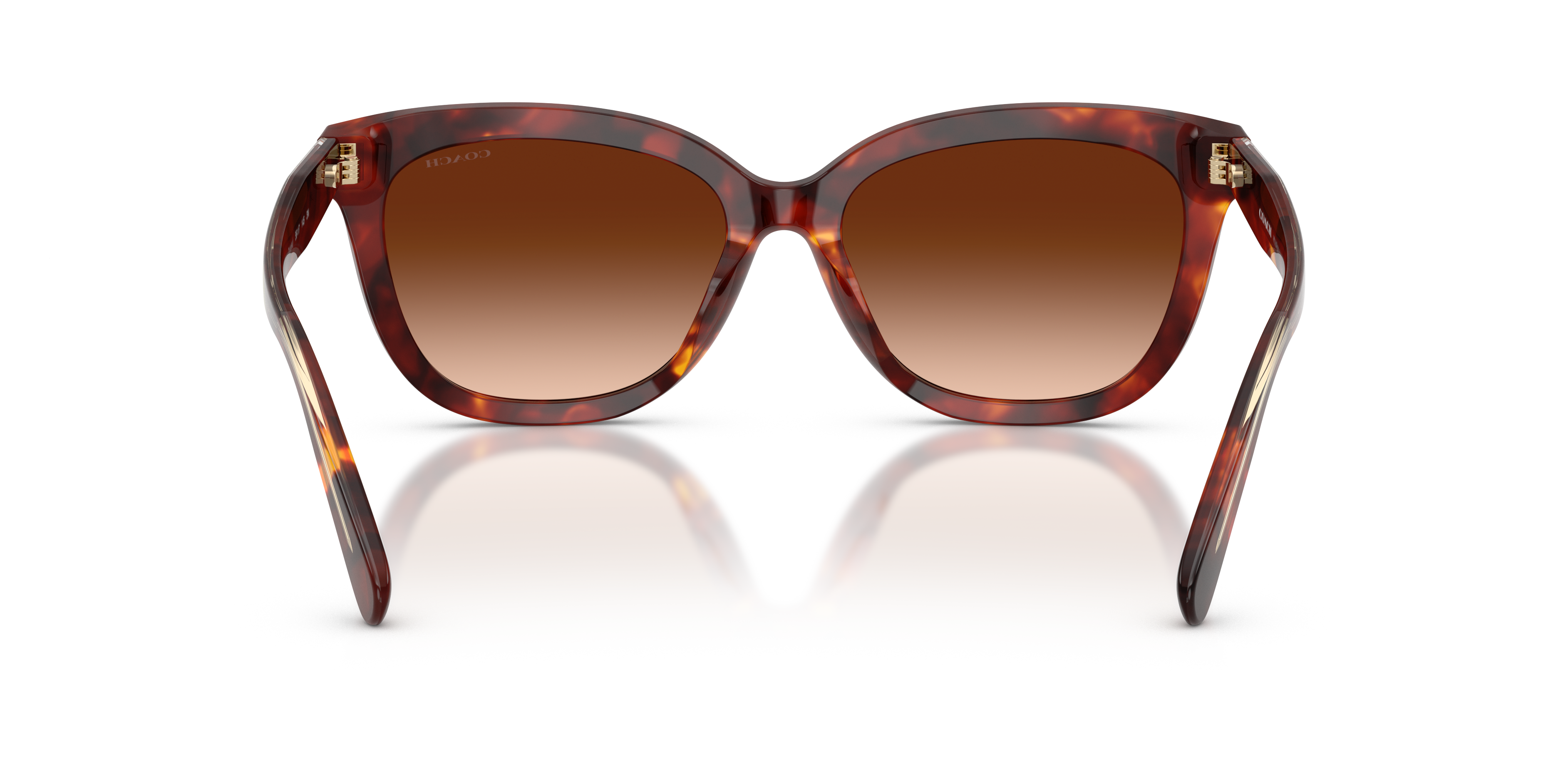 Coach HC8453U CDP53 Square Sunglasses - Purple Cosmo Tortoise
