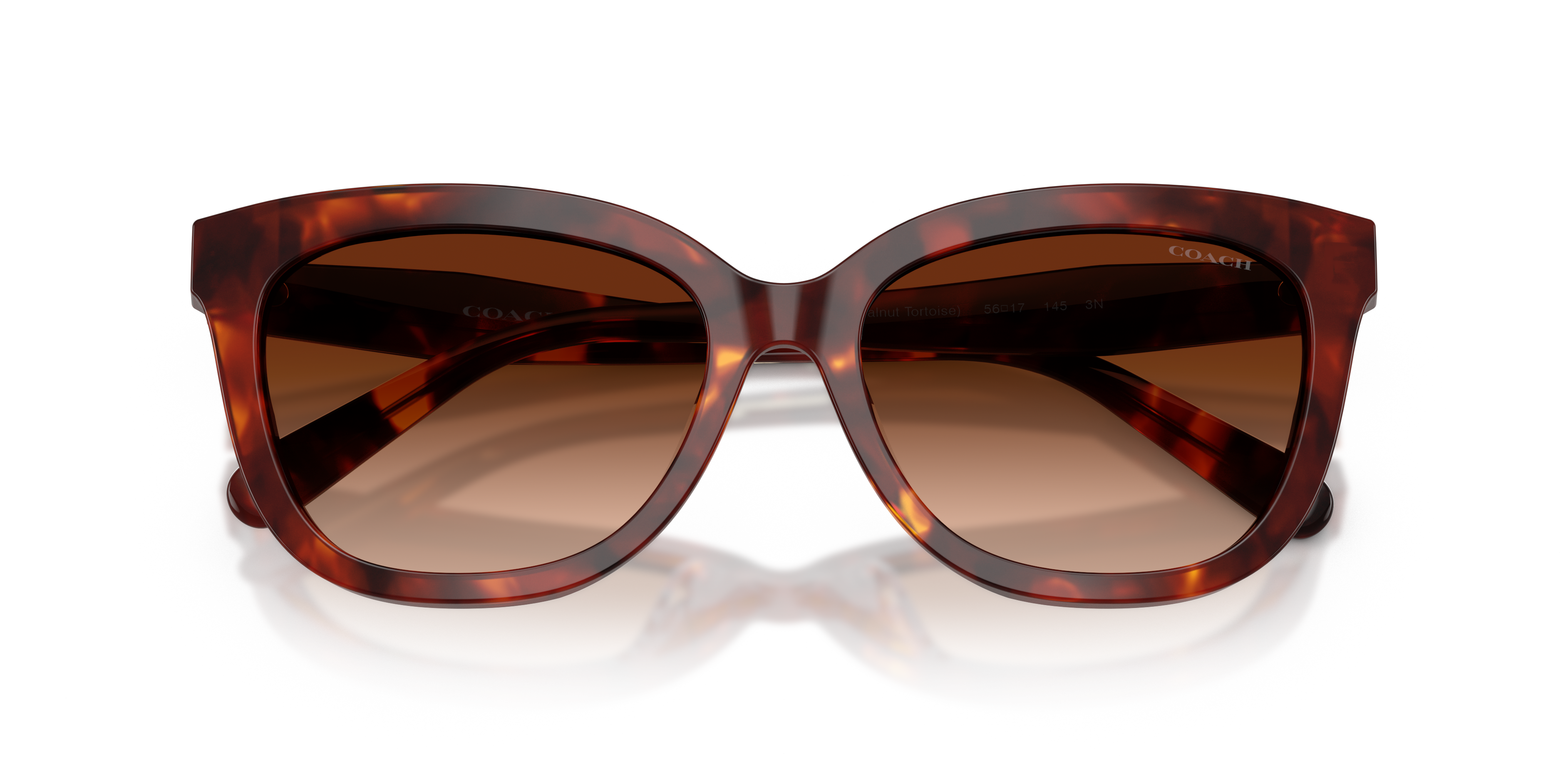 Coach HC8453U CDP53 Square Sunglasses - Purple Cosmo Tortoise