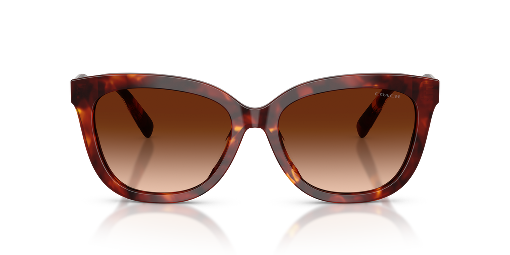 Coach HC8453U CDP53 Square Sunglasses - Walnut Tortoise