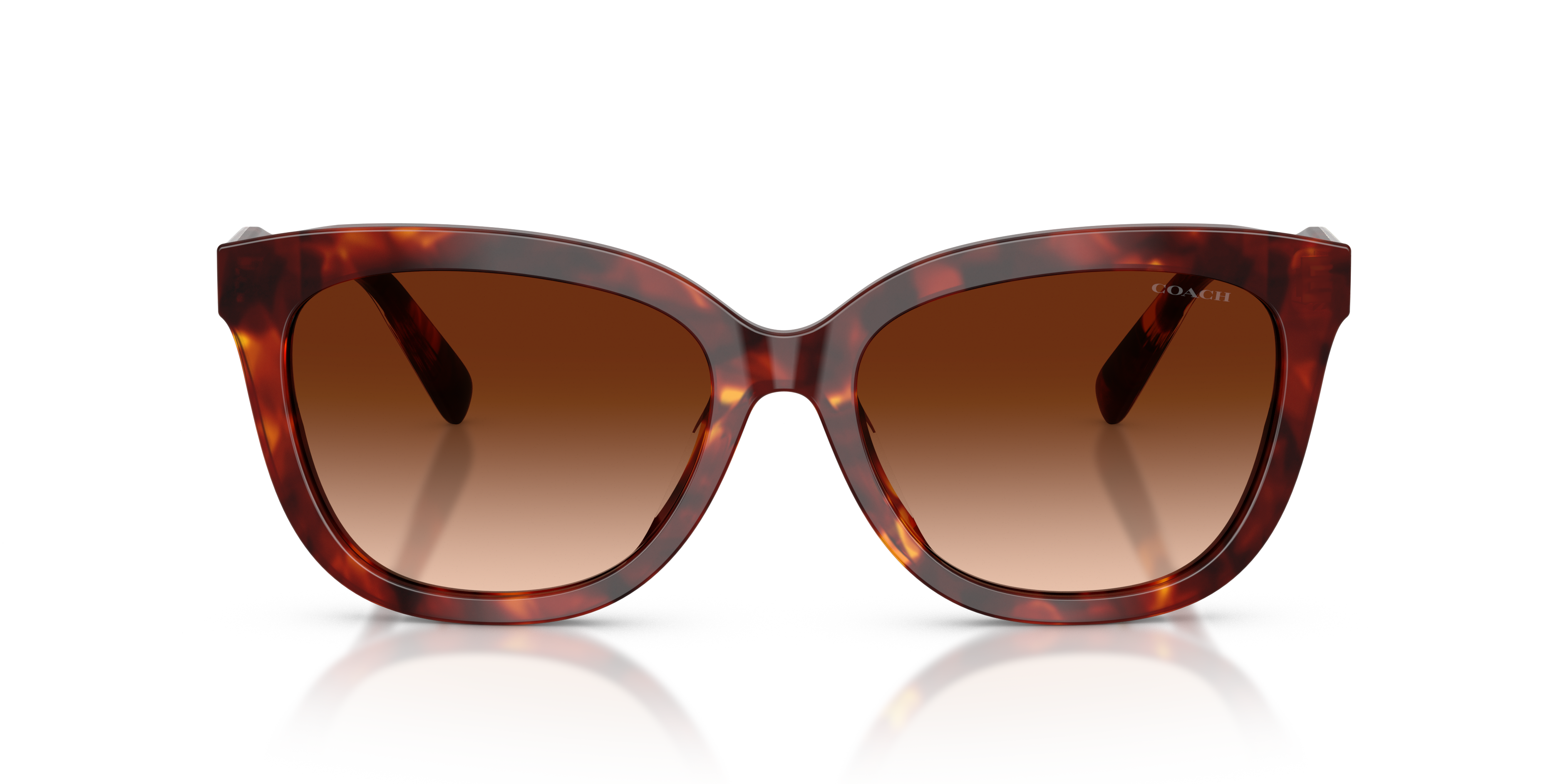 Coach HC8453U CDP53 Square Sunglasses - Walnut Tortoise