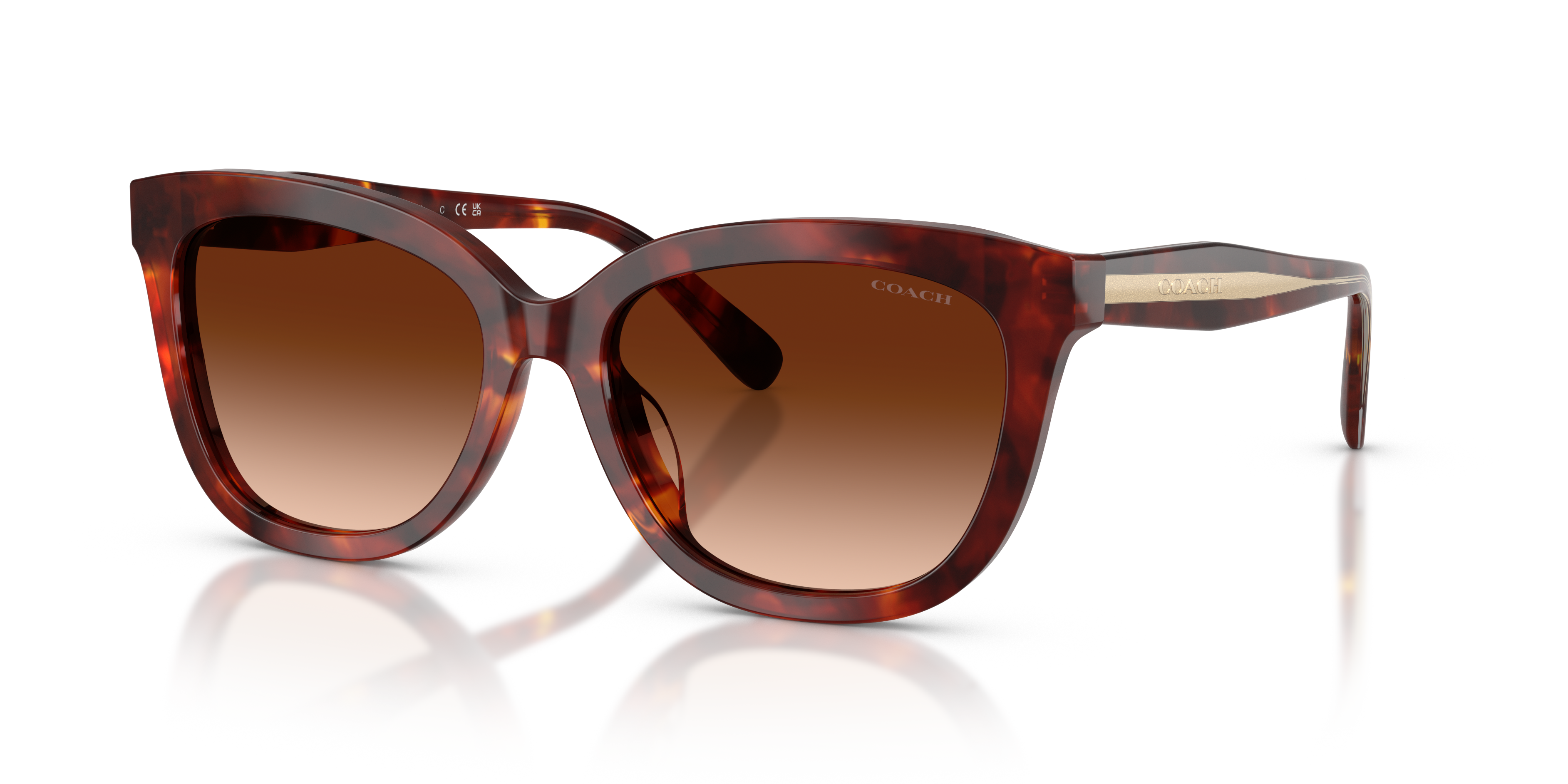 Coach HC8453U CDP53 Square Sunglasses - Purple Cosmo Tortoise