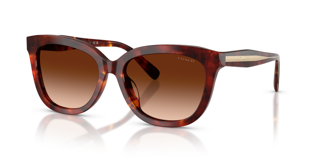 Coach HC8453U CDP53 Square Sunglasses - Walnut Tortoise