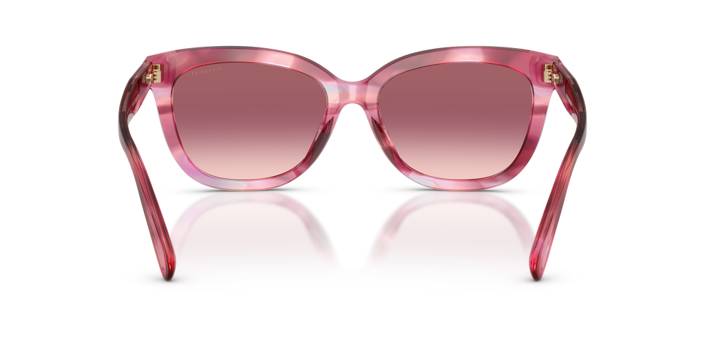 Coach HC8453U CDP53 Square Sunglasses - Walnut Tortoise